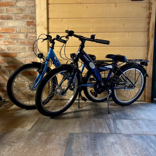 Bike Stadl Fahrradvermietung 20 Zoll Kinder BBF Mover Lausitzer Seenland Senftenberger See