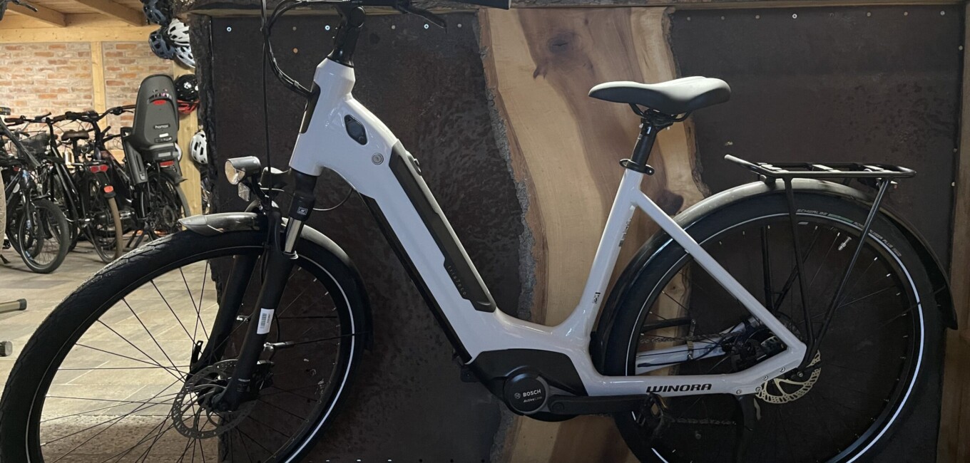 Bike Stadl Fahrradvermiertung Senftenberger See Lausitzer Seenland Ebike