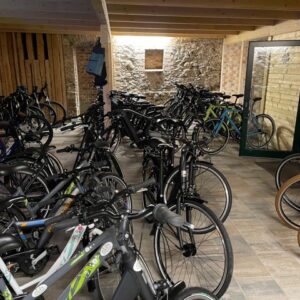 Ob SingleSpeed, Crossrad oder Gravel Bike Ob SingleSpeed, Crossrad oder Gravel Bike