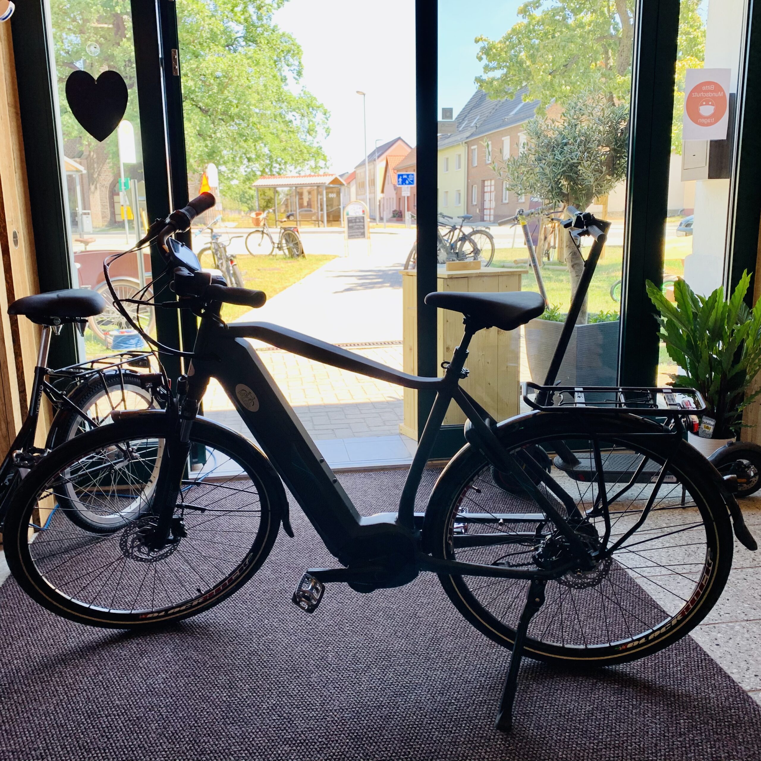 Bike Stadl Fahrradvernietung Bosch Navigation E-Bike Lausitzer Seenland Senftenberger See