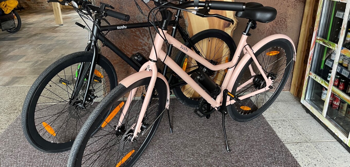 Bike Stadl Fahrradvermietung E-Bike SUSHI MAKI CALIFORNIA Senftenberger See Lausitzer Seenland Großkoschen Dorfplatz