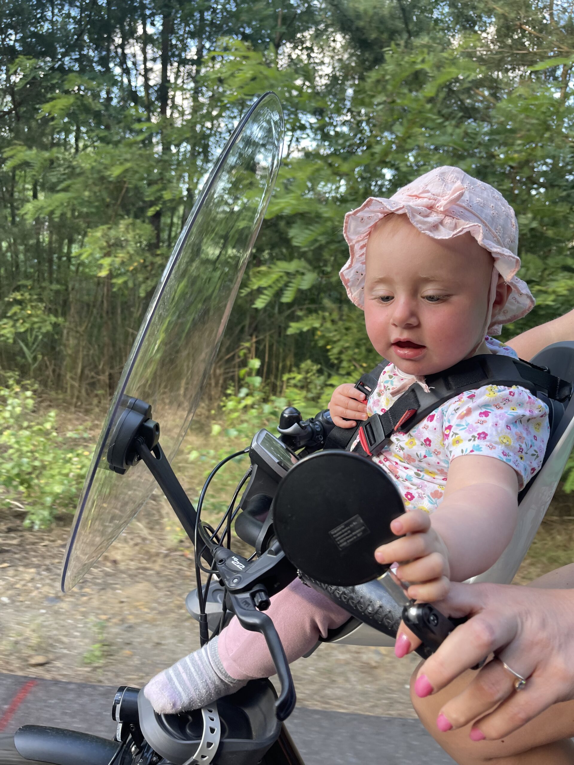 Bike Stadl Fahrradvermietung Hamax Kindersitz Observer Senftenberger See Lausitzer Seenland Großkoschen