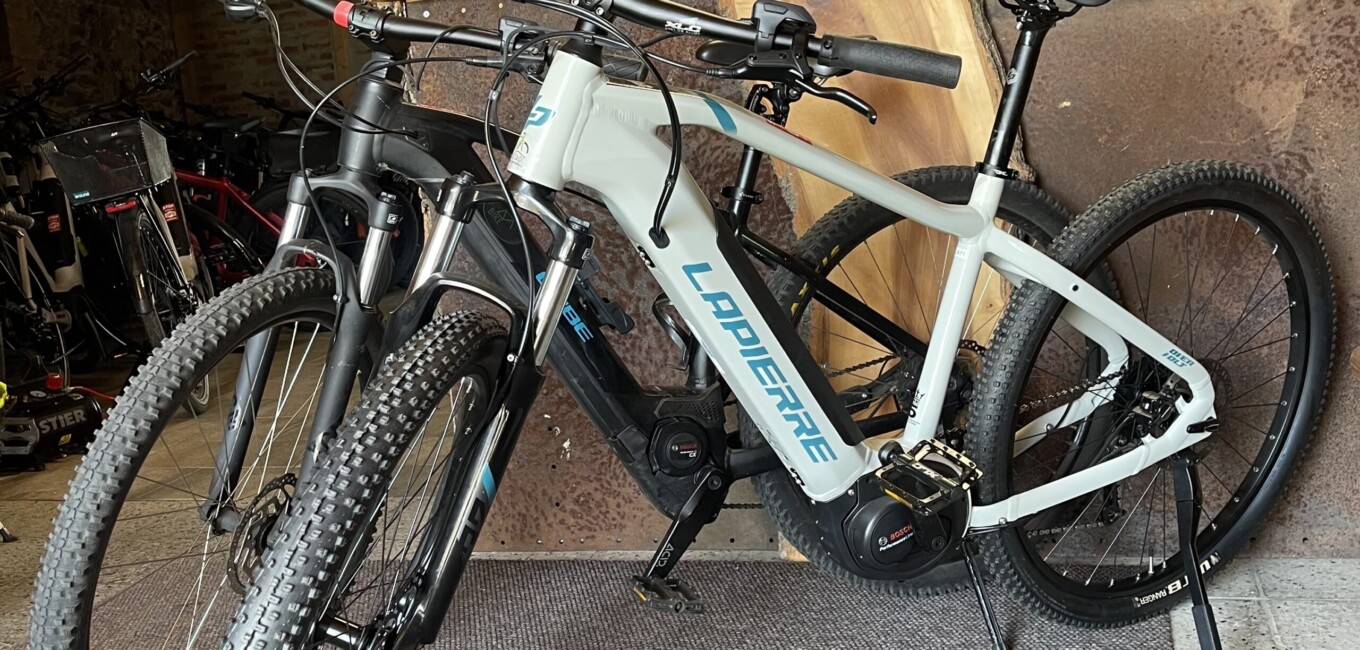 Bike Stadl Fahrradvermietung Kinderanhänger E-Bike Cube Lapierre E-MTB Senftenberger See Lausitzer Seenland